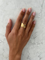 Load image into Gallery viewer, PICOS SASSO RING - Sterling Silver WITH 22K Gold Plating | BIRTHSTONE
